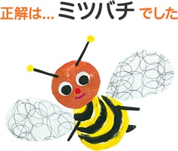 正解は...ミツバチでした