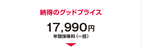 納得のグッドプライス　17,990円　年間保険料（一括）