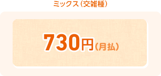 ミックス(交雑種) 730円(月払)