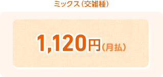 ミックス(交雑種) 1,120円(月払)