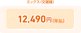 ミックス(交雑種) 12,490円(年払)