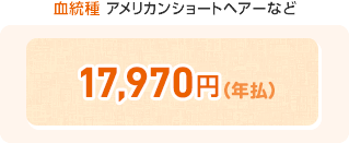 血統種 アメリカンショートヘアーなど 17,970円(年払)