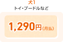 犬1 トイ・プードルなど 1,290円(月払)