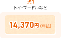 犬1 トイ・プードルなど 14,370円(年払)