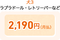 犬3 ラブラドール・レトリーバーなど 2,190円(月払)