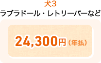 犬3 ラブラドール・レトリーバーなど 24,300円(年払)