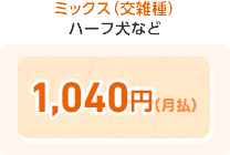 ミックス(交雑種) ハーフ犬など 1,040円(月払)