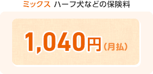 ミックス ハーフ犬などの保険料 1,040円(月払)