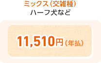 ミックス(交雑種) ハーフ犬など 11,510円(年払)