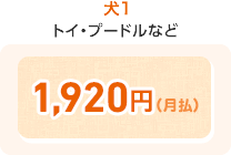 犬1 トイ・プードルなど 1,920円(月払)