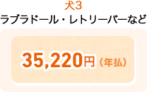 犬3 ラブラドール・レトリーバーなど 35,220円(年払)