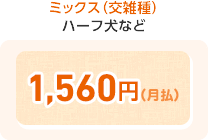 ミックス(交雑種) ハーフ犬など 1,560円(月払)