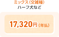 ミックス(交雑種) ハーフ犬など 17,320円(年払)