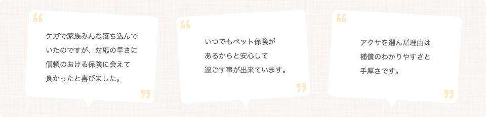 �L�̕ی��Ɋւ��邨�q���܂̐�