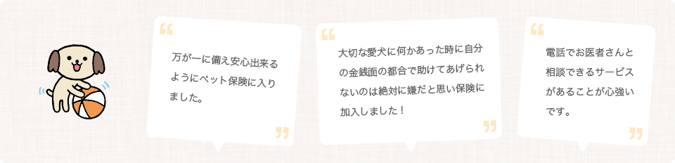 ���̕ی��Ɋւ��邨�q���܂̐�