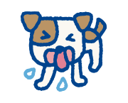犬の保険金請求事例