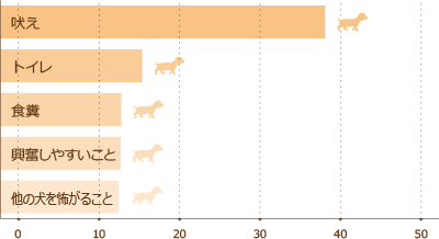 解決したい困りごと・お悩みは?