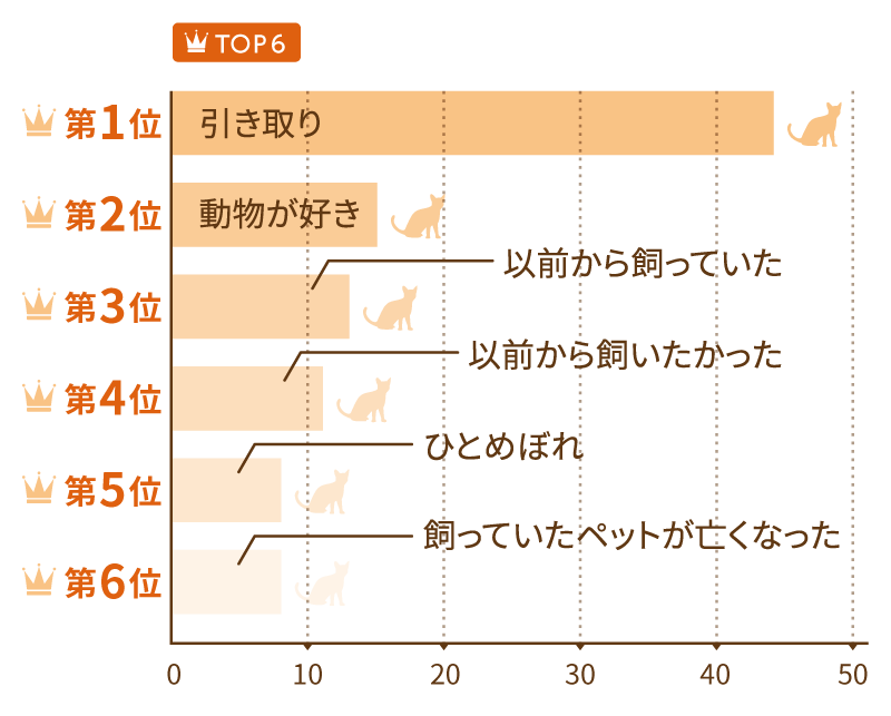 愛猫を飼うようになったきっかけは?