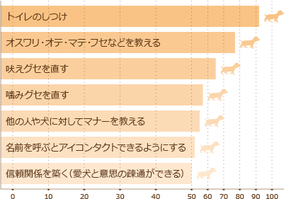 愛犬のしつけから連想することは アンケート結果