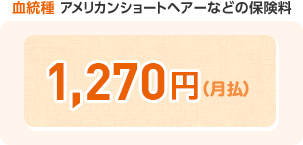 血統種 アメリカンショートヘアなど保険料 ¥1,270円(月払)