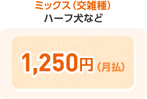 ミックス(交雑種) ハーフ犬など 1,250円(月払)