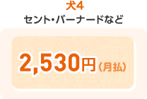 犬4 2,530円(月払)
