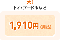 犬1 1,910円(月払)