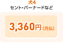犬4 3,360円(月払)