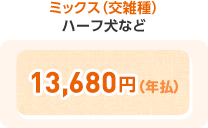 ミックス(交雑種) ハーフ犬など 13,680円(年払)