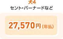 犬4 27,570円(年払)