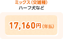 ミックス(交雑種) ハーフ犬など 17,160円(年払)