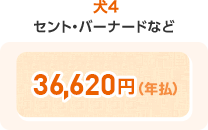 犬4 36,620円(年払)