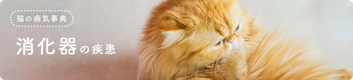 猫の病気事典:消化器の疾患