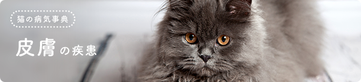 猫の病気事典:皮膚の疾患
