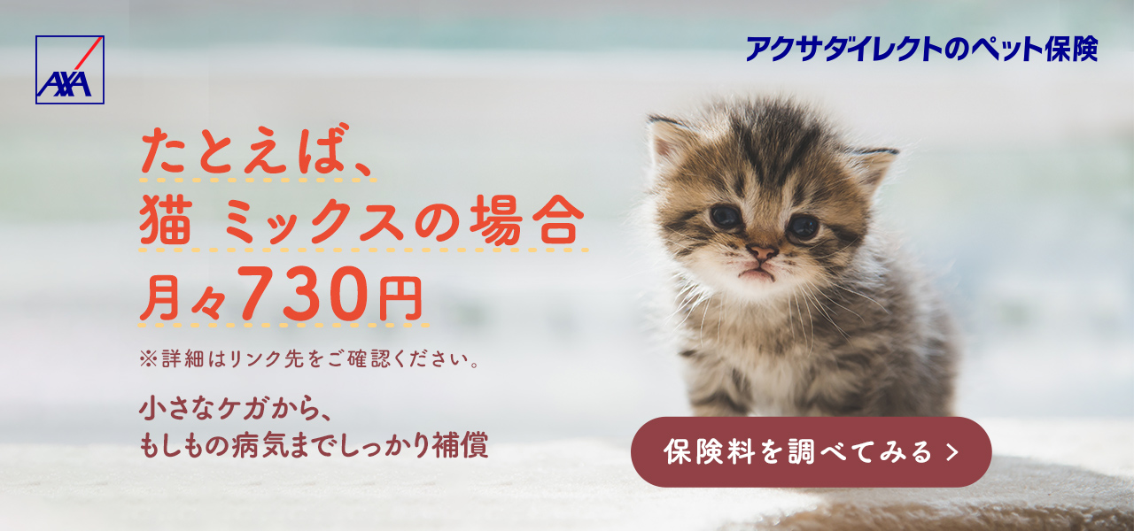 たとえば、猫 ミックスの場合 月々730円 ※詳細はリンク先をご確認ください。小さなケガから、もしもの病気までしっかり補償 保険料を調べてみる