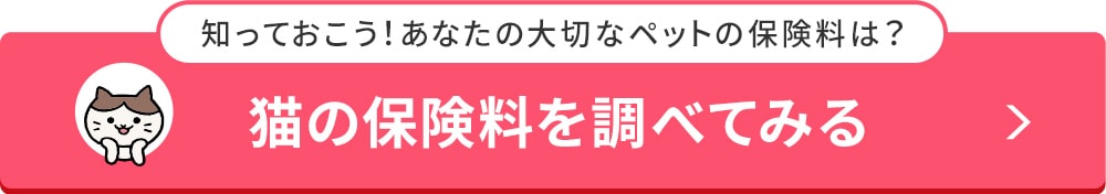 猫を飼う前に必読 準備のポイントと気になる初期費用