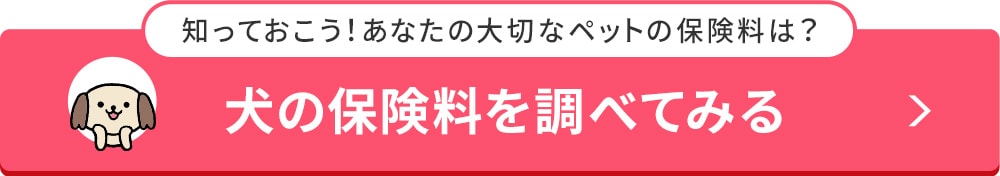 犬の名前 最新ランキング 名前のつけ方のコツもご紹介 アクサダイレクト