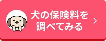 迷子猫 迷子犬対策 マイクロチップ装着のメリットと費用 アクサダイレクト