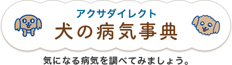 アクサダイレクト 犬の病気事典 気になる病気を調べてみましょう。