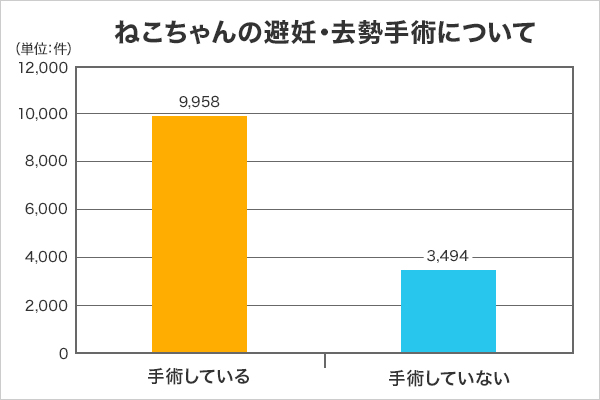 猫の去勢手術について