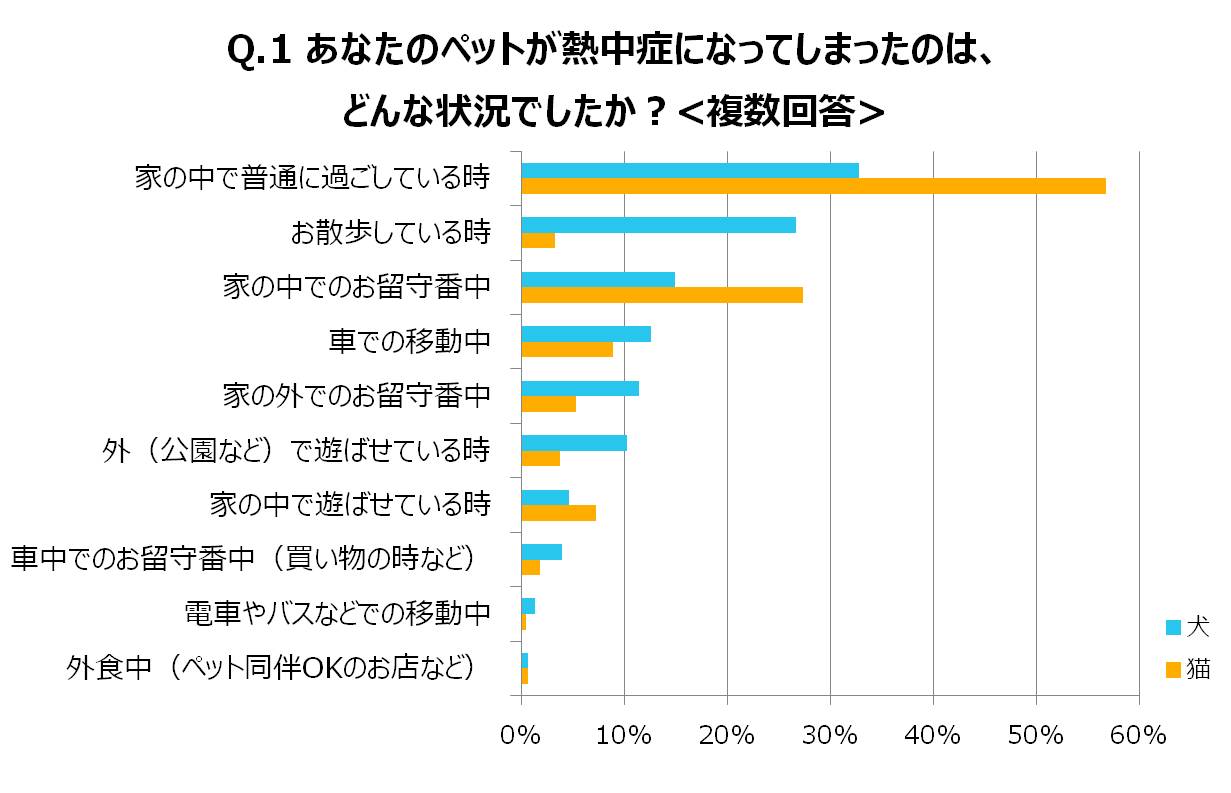 あなたのペットが熱中症になってしまったのはどんな状況でしたか？