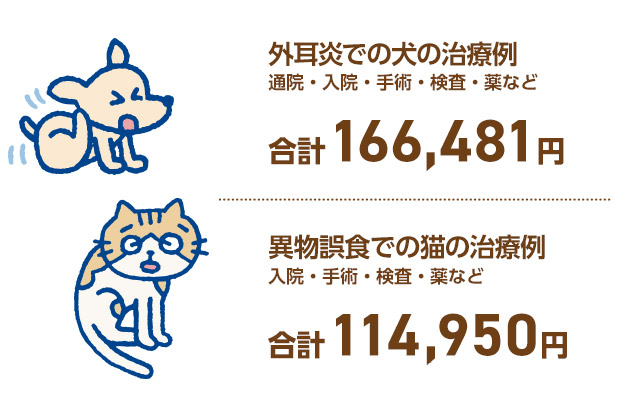 外耳炎での犬の治療例 通院・入院・手術・検査・薬など 合計166,481円 異物誤食での猫の治療例 入院・手術・検査・薬など 合計114,950円