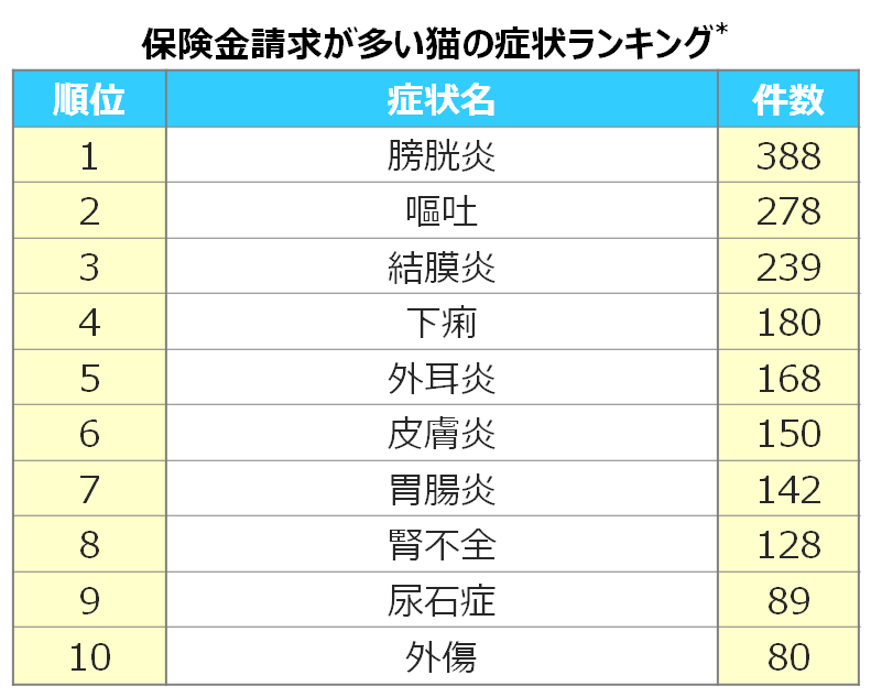 猫の膀胱炎 原因と症状は おしっこが1日出ないなら すぐ病院へ アクサダイレクト