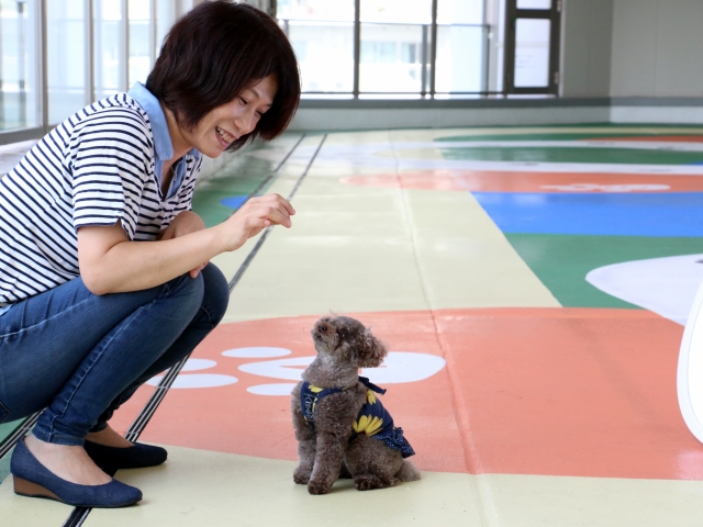 ドッグランで遊べるほど快復したおはぎ