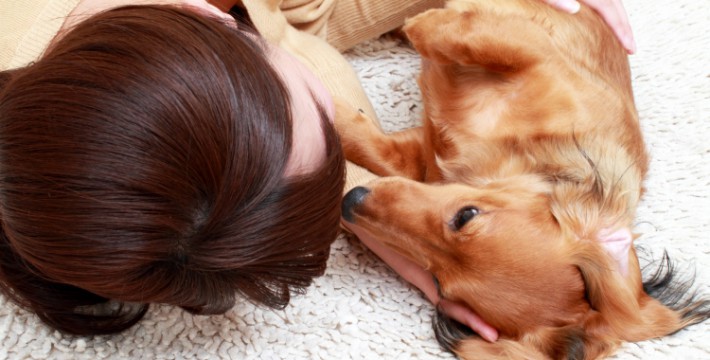 犬の生理の症状や期間って 対処方法と出血する病気と