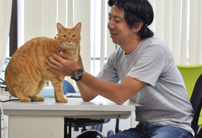 IT企業で働く7匹の「猫社員」？捨て猫から繋がった家族の輪