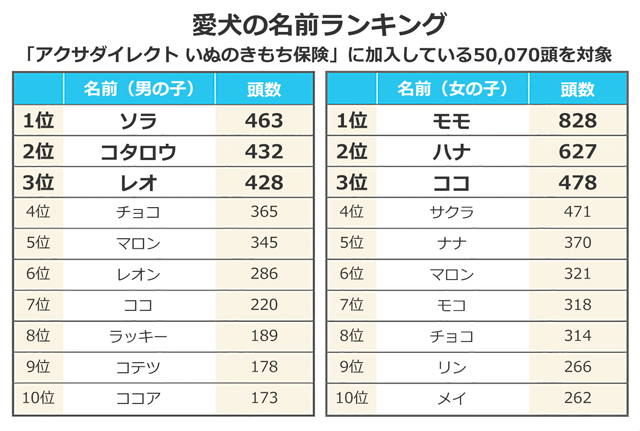 犬の名前ランキング つけ方のコツやあの ポチ の起源まで