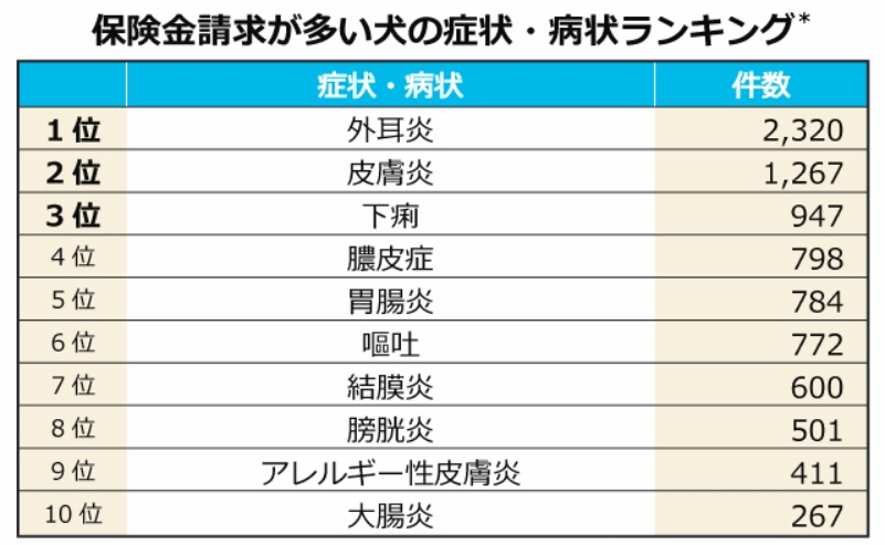 ※当社調べ「アクサダイレクトのペット保険」2015年保険金支払いデータより