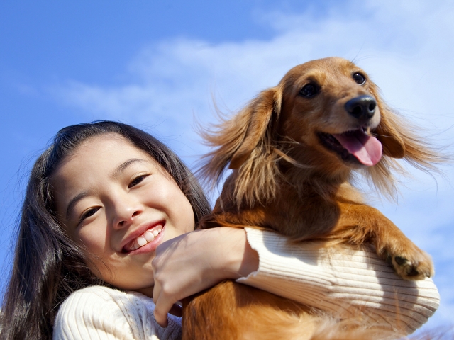 あなたの愛犬がかかりやすい病気はわかりましたか？