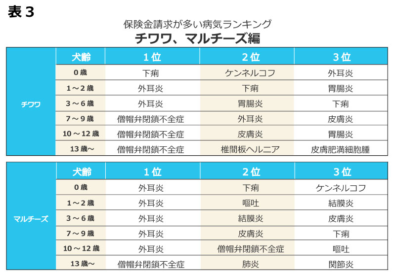 チワワ、マルチーズがかかりやすい病気ランキング